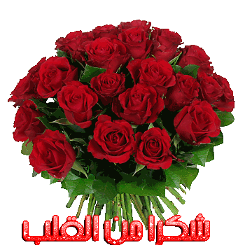 Mary Naeem    50   